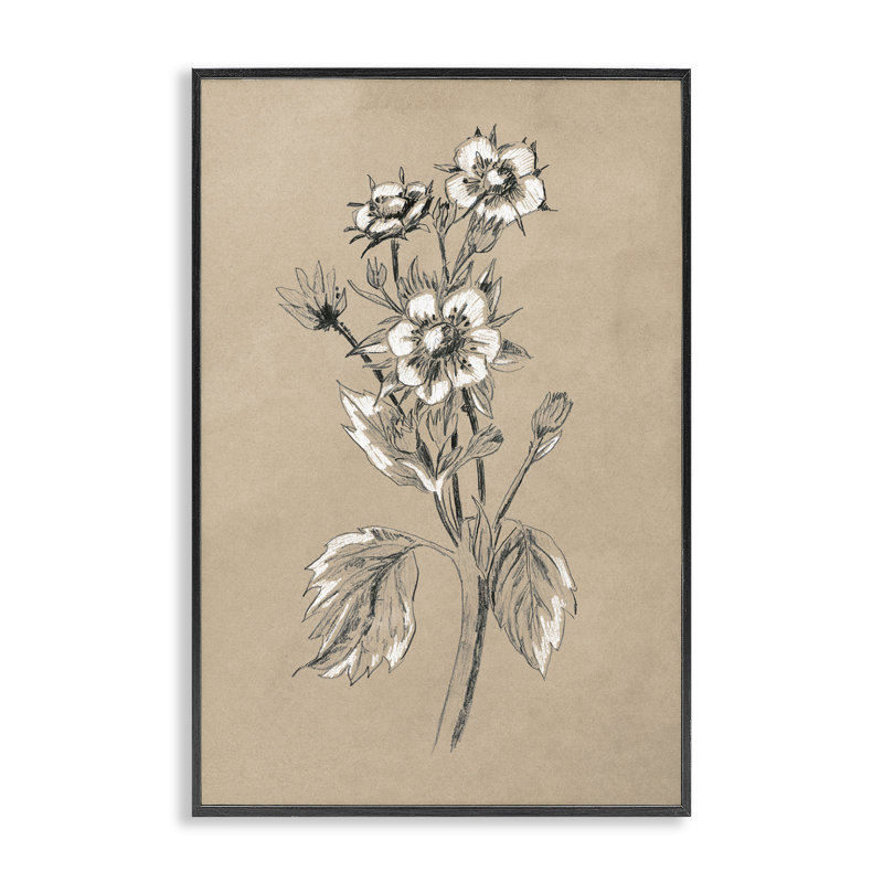 Dessin de fleur de pommier June Erica Vess bg-088, Giclée encadrée noir minuit, H 18 po x l 12 po