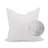 Square Pillow Cover & Insert-71504153-71504146-71504145