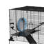 Hamster Cage