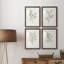 Simple Sprig I - ensemble de 4 reproductions de cadres photo-2075732642-2075732654