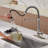 Bolden CASAINC 1.8 GPM Spring Neck Pull Down Kitchen Faucet with Deck Plate-93965524