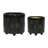 Versatile Ceramic Planters for All Settings, Enhancing Your Greenery-1545356016