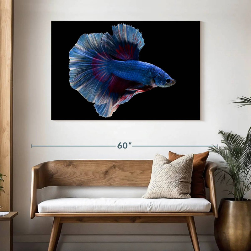 Elegant Blue Betta, 32" H x 48" W