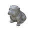 Bulldog