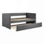 Lit de jour avec lit gigogne 1Pc-107123729
