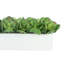 Arrangement Echeveria en pot de fibres-1639614948