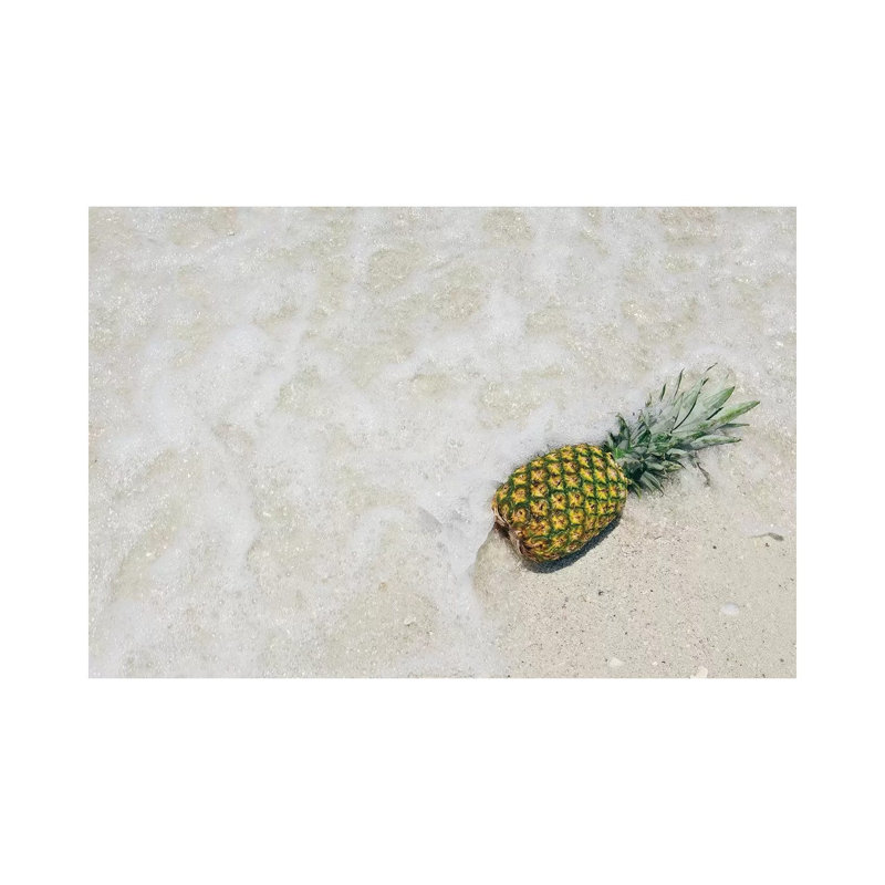 South Florida Pineapple V 1 Piece Wrapped Canvas Painting, 30.48 cm H x 45.72 cm W