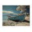 Plage monochrome bleue d'Hawaï-434438235
