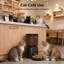 Distributeur automatique de nourriture pour chat avec caméra HD 1 080p et Wi-Fi 5g