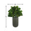 Faux Fiddle Leaf Fig Tree in Fiberstone Planter