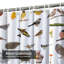 Forest Animals Squirrel Hedgehog Owl Bohemian Shower Curtain with 12 Hooks-1664354372