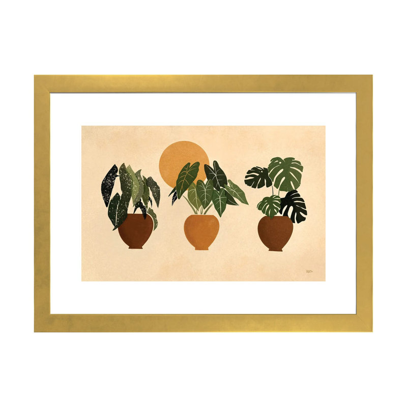 « Houseplants II » par Bria Nicole-impression d’art graphique, H 16 po x l 24 po x P 1 po, Papier encadré doré, Blanc