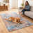 Machine Washable Non-Slip Area Rug， Modern Abstract Rug for Living Room， Bedroom， Kitchen， Soft Low-Pile Stain-Resistant Carpet， 3x5 Feet-2003070622