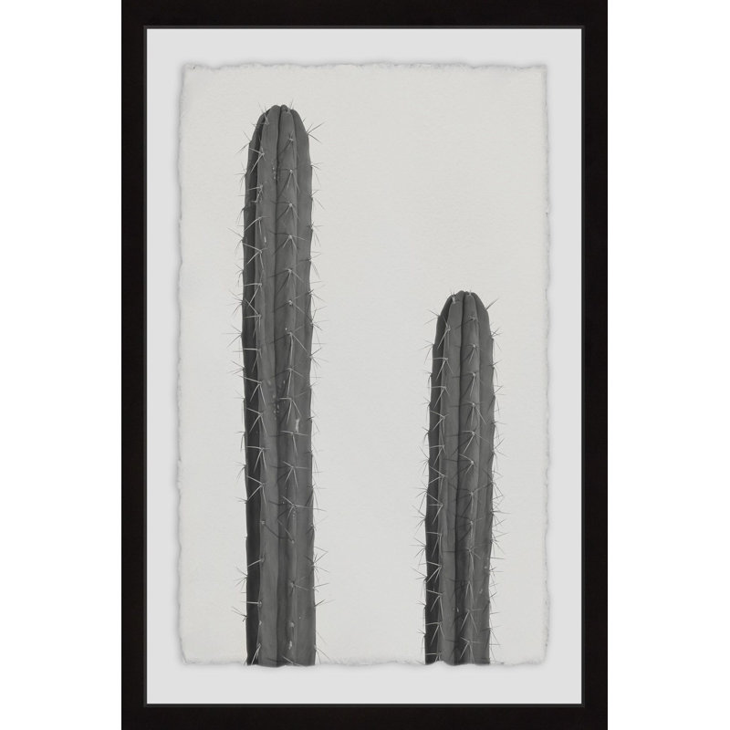 Paire de cactus 18