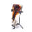 17'' H Glass Wall Wall Sconce with Candle Included