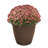 Daekwan Pot Planter-462797777-429344156