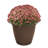 Daekwan Self-Watering Plastic Indoor / Outdoor Pot Planter-429344156-462797777
