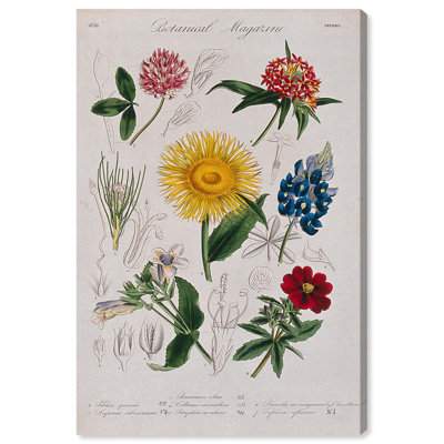 Art Remedy, impressions sur toile, sept plantes de jardin