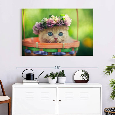 Brampt Garland Cat