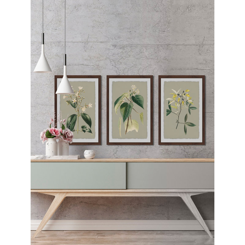 Tiny Blooms Triptych - ensemble de 3 reproductions d'art graphique, H 24 po x l 16 po x L 1,5 po