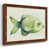 Maple Framed
