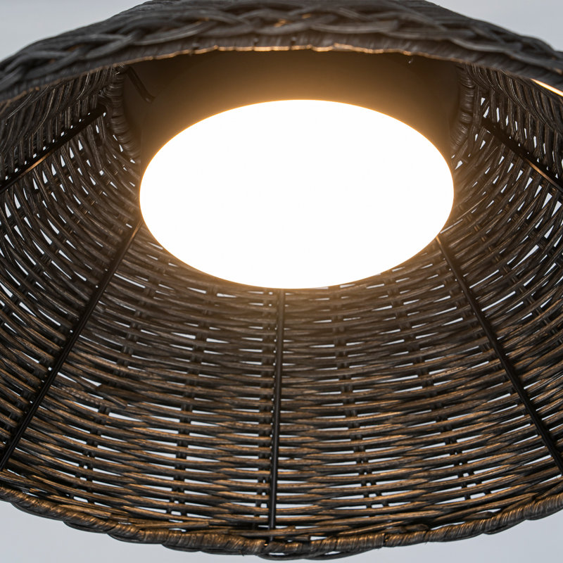 Luminaire suspendu simple Ratten Led