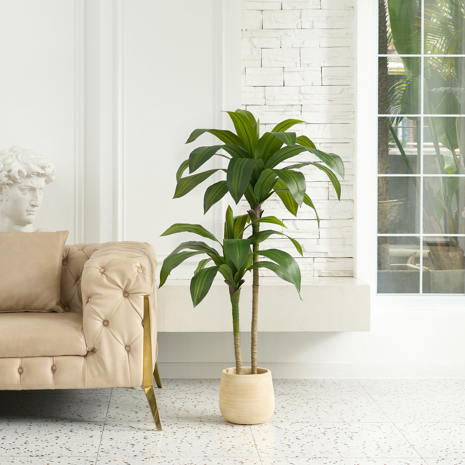 Adcock Dracaena Tree in Pot, Green, 48" H x 20" W x 20" D