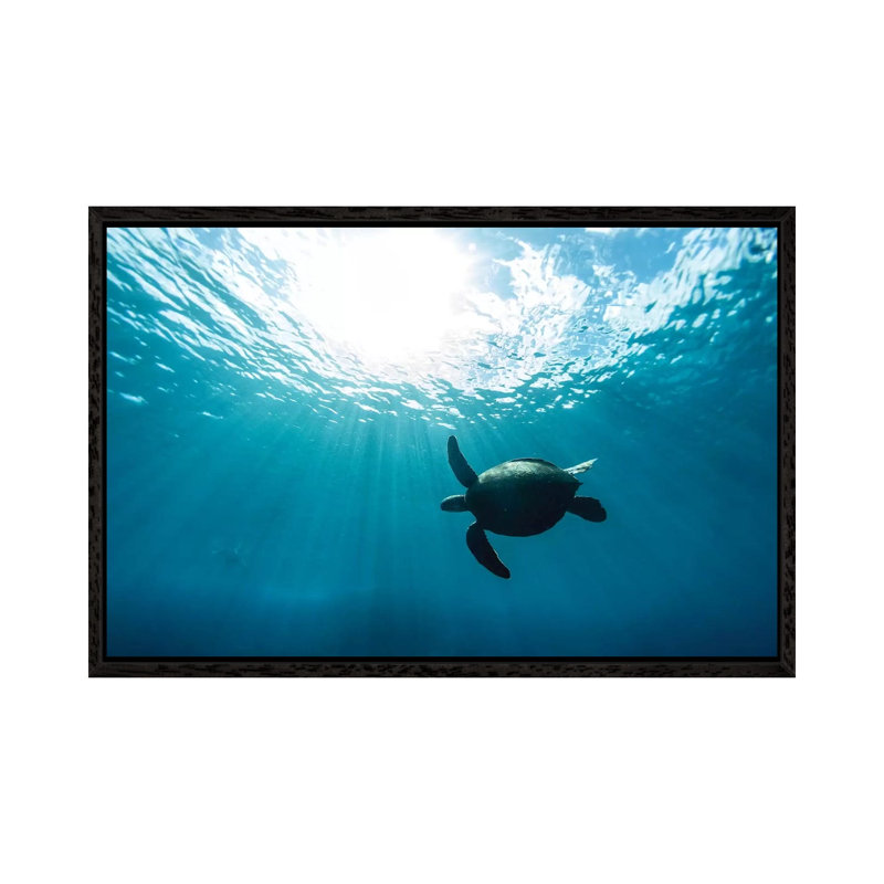 Sun Burst by Sean Davey - Print on Canvas, 45.72cm H x 66.04cm W x 3.81cm D, Black Floater Framed