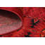 Southwestern Area Rug-983669993