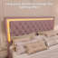 Structure de lit tapissier avec lumières DEL, lit plateforme en velours moderne avec tête de lit capitonnée-774162529-774162542