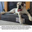 Orthopedic Polyester Pet Bed-64148625-64148626