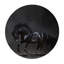 Black Stallion Print-24078699