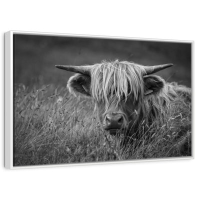 Île de Skye, Highland Catt BW