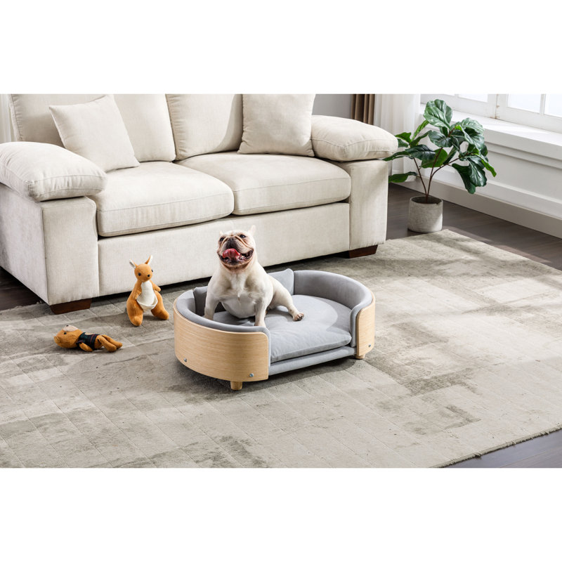 Chien gris à l'allure scandinave, dossier en bois cintré et housse amovible lavable - Scratch, structure en chêne, idéal pour les grands chiens, lit pour chien surélevé, grandes canines, pieds solides, mousse à mémoire de forme à rebond élevé