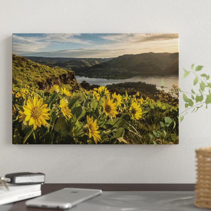 « tremping up the sun », impression sur toile, H 12 po x l 18 po x P 1,5 po, Toile tendue, Pas de tapis