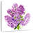 Harnek Lilac Cluster