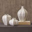 Star Fruit Vase-64402280