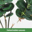 Plant-986871588