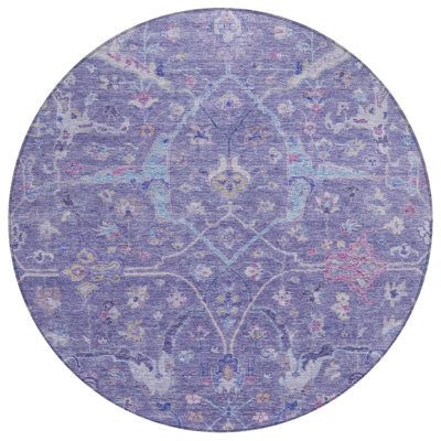 Machine Washable Indoor/Outdoor Kaczor ACN2232 Global Rug