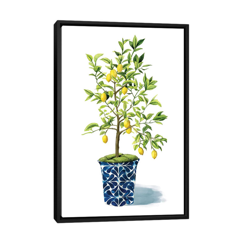 «Fruit Tree II», impression sur toile, H 26 po x l 18 po x P 1,5 po, Toile avec cadre noir, Pas de tapis