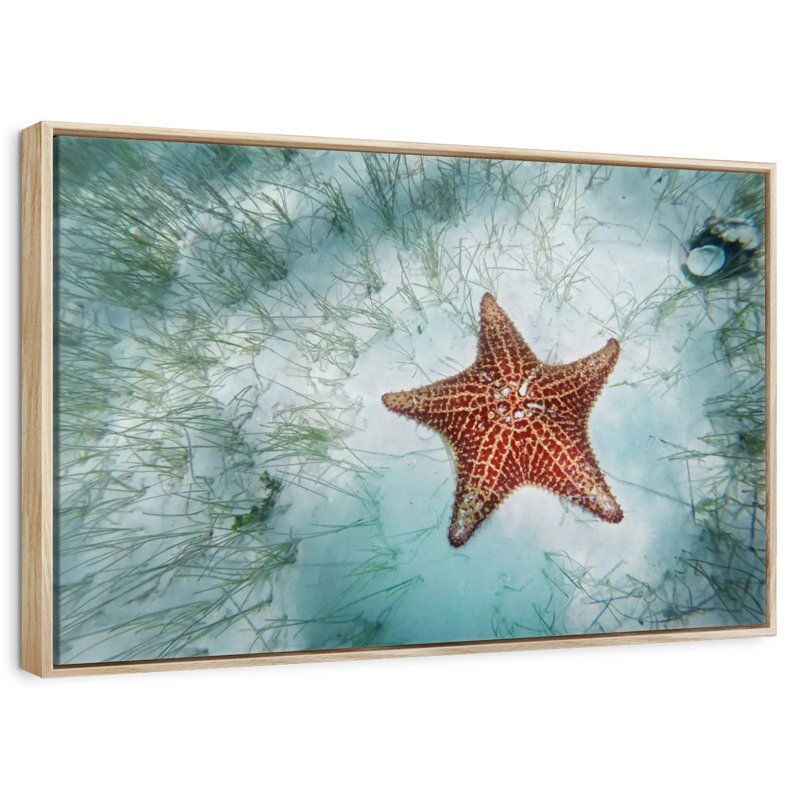 Étoile de mer peu profonde, Cadre flottant en bois naturel, 37 po x 25 po