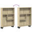 Ricaria 68cm H x 48cm W Bookcase-1511602889