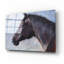 «Equine Encounter» par Robert Campbell-1981701862