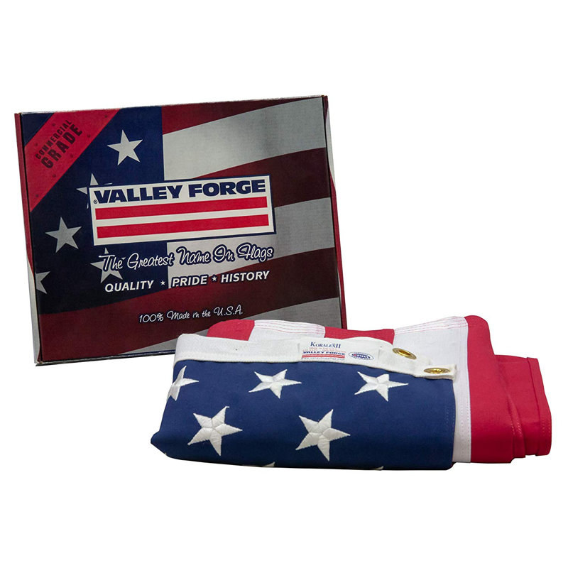 Valley Forge 3 ft x 5 ft Multicolored Polyester American Flag