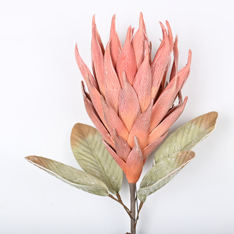 Protea Cynaroides, arrangement floral, longue tige, Rouge