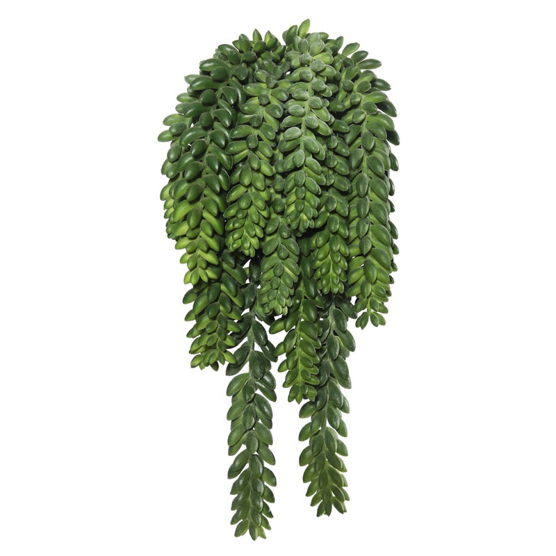 Plantes grasses artificielles en plastique