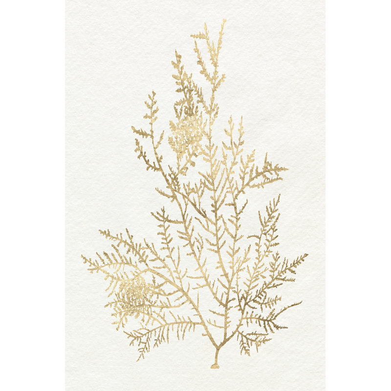 Gilded Algae VIII - Painting, 30 cm H x 20 cm W, Wrapped Canvas
