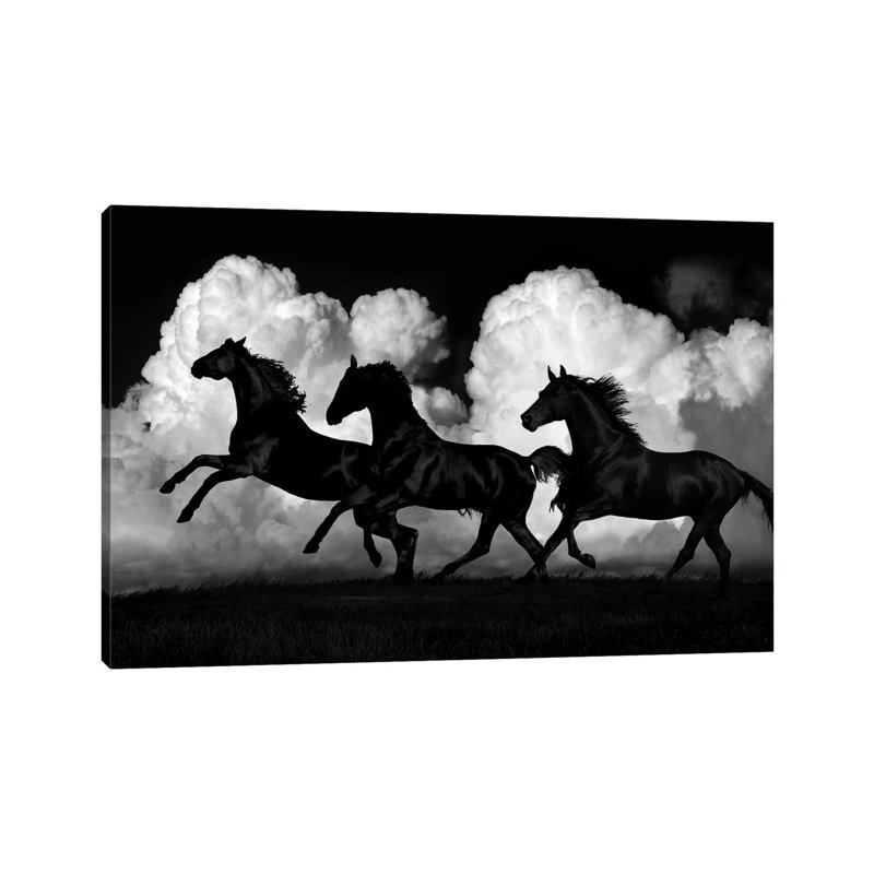 Wild Horses by Samantha Carter - Wrapped Canvas Print, 30.48 cm H x 45.72 cm W