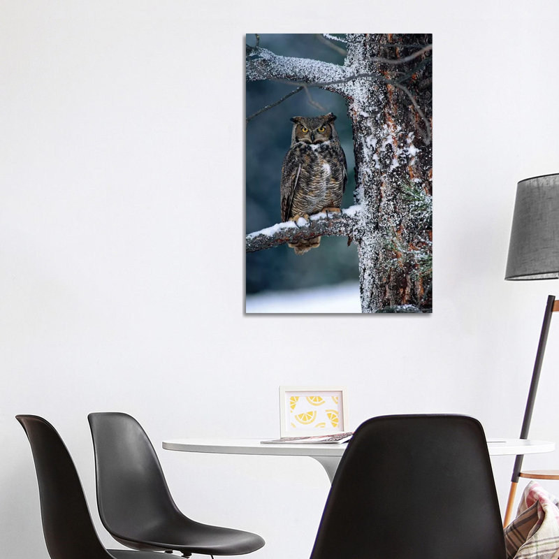 Great Horned Owl Perched In Tree Dusted With Snow, British Columbia, Canada I by Tim Fitzharris - Wrapped Canvas Print