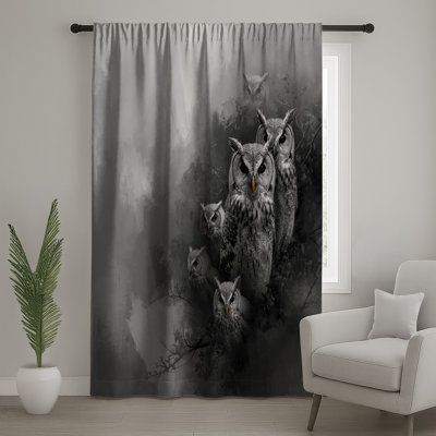 Rideaux Group, Owls